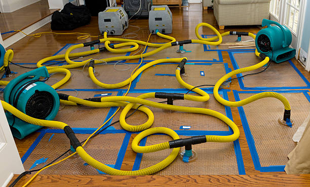 Professional Crawl Space Water Removal technician working in Sun, LA